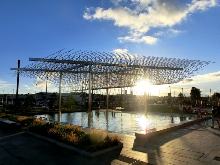 auckland (29)
